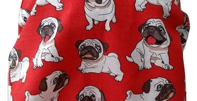 Gorro de perro carlino para odontologos y dentistas