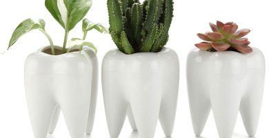 tazas con forma de diente muela